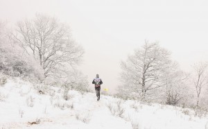 10 trail Haut-cantal 2-2 ambiance