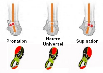 pronateur-neutre-supinateur