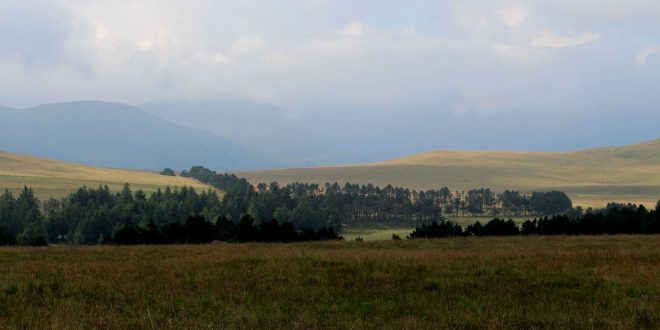 4èmes Foulées des 2 Roches – Rochefort-Montagne 22/7/2018