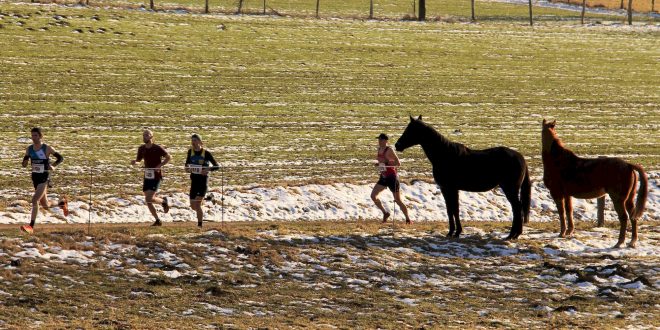 redoux au cross de St-Georges-de-Mons – 21-1-2024