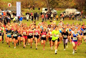 CROSS du 11 NOVEMBRE 2025 à BEAUMONT – inscriptions CROSS du 11 NOVEMBRE 2025 à BEAUMONT – inscriptions