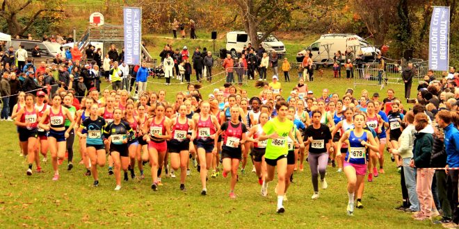 CROSS du 11 NOVEMBRE 2025 à BEAUMONT – inscriptions CROSS du 11 NOVEMBRE 2025 à BEAUMONT – inscriptions