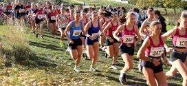 Classements et photos – Cross Beaumont 11/11/2025