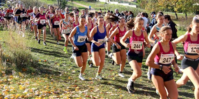 Classements et photos – Cross Beaumont 11/11/2025