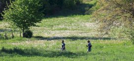 Reprise entraînements 2026-2027 – accueil nouveaux adhérents